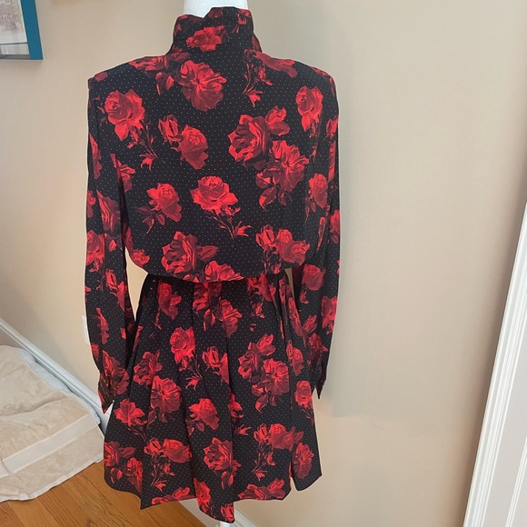100% Silk Shirtdress from The Kooples - Picture 5 of 10